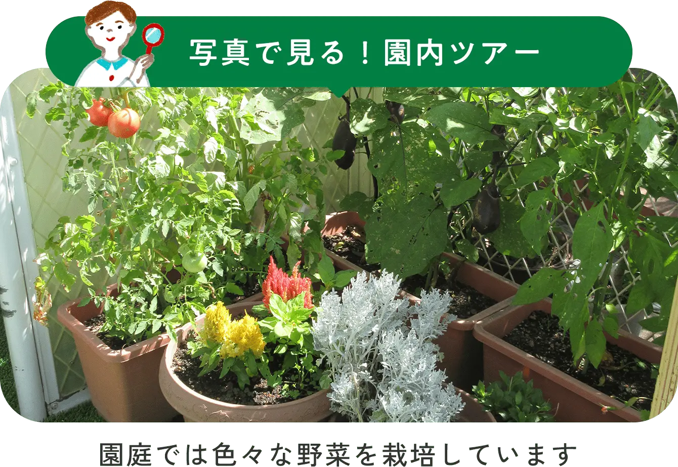 園内画像